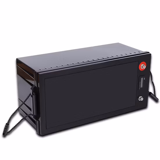 12V 24V Solarsystem RV 캠핑카 부츠 골프 자동차 LiFePO4 배터리