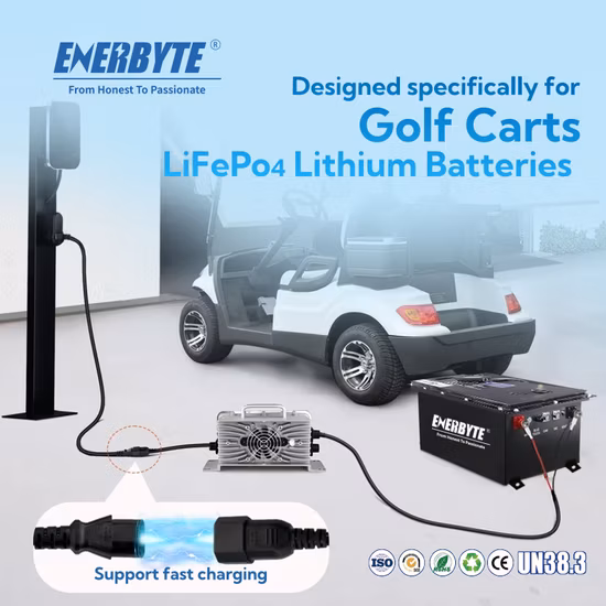 LiFePO4 배터리/리튬 배터리/골프 카트용 충전식 배터리 48V150ah/전기 자동차 배터리/충전기가 포함된 충전식 배터리